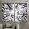 Kit 02 Quadros Decorativos - Galhos de Arvores Vista Inferior Flnt038 - Vidro - 60x80cm - 2