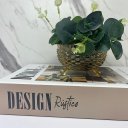 Ver imagem 4 de Conjunto decoração livro + vaso tripé de vidro âmbar