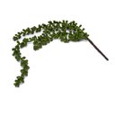 Ver imagem 1 de Folhagem Artificial Sedum Pendente para Jardim X4 Verde 48 Cm F04 - D’Rossi