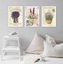 Ver imagem 1 de Kit 3 Quadros Lavanda Francesa Provence 24x18cm:madeira Preta
