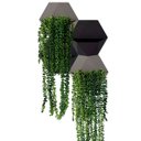 Ver imagem 1 de Kit 4 Plantas Artificiais Pendente de Rosario Toque Real 35 Cm
