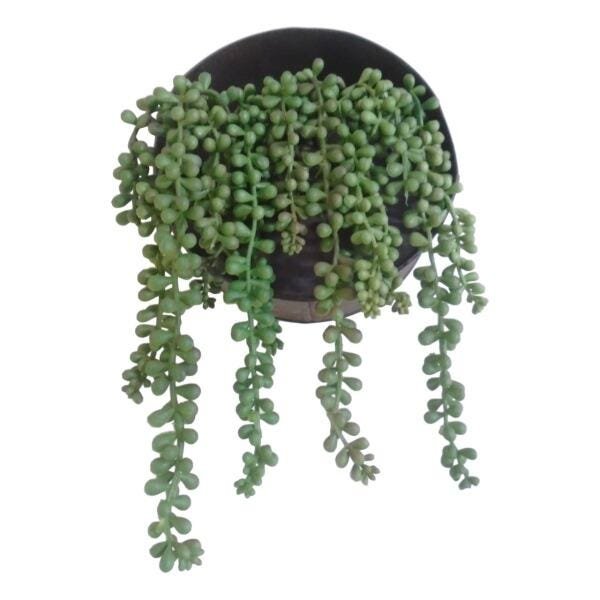 Kit 4 plantas artificiais pendente de rosario toque real 35 cm - 3