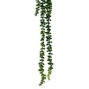 Ver imagem 4 de Kit 5 Suculentas Artificiais Planta Pendente para Decoração 35 Cm