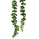 Ver imagem 6 de Kit 5 Suculentas Artificiais Planta Pendente para Decoração 35 Cm