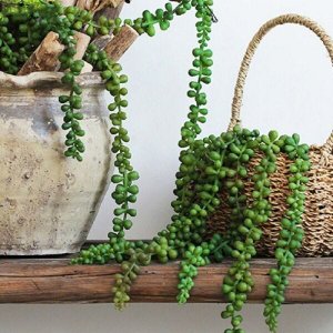 Kit 8 galhos pendentes artificiais plantas para pendurar 35 cm
