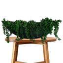 Ver imagem 2 de Kit 8 Galhos Pendentes Artificiais Plantas para Pendurar 35 Cm