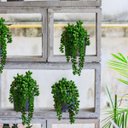 Ver imagem 5 de Kit 8 Galhos Pendentes Artificiais Plantas para Pendurar 35 Cm