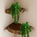 Ver imagem 3 de Kit 8 Galhos Pendentes Artificiais Plantas para Pendurar 35 Cm