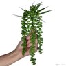 Kit 10 suculentas artificiais pendente folhagem pendente 35 cm - 5