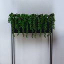 Ver imagem 4 de Kit 10 Suculentas Artificiais Pendente Folhagem Pendente 35 Cm