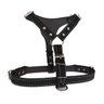 Kit Pitbull Coleira para cachorros peitoral e guia com amortecedor ati-puxão - Preto - 5