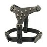 Kit Pitbull Coleira para cachorros peitoral e guia com amortecedor ati-puxão - Preto - 2