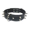 Kit Pitbull Coleira para cachorros peitoral e guia com amortecedor ati-puxão - Preto - 4