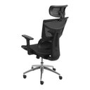 Ver imagem 4 de Cadeira para Escritório Presidente Ergonômica NR17 Tela Mesh Preto