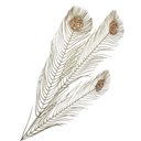 Ver imagem 3 de Galho Pena Pavão Silicone 90cm 90cm