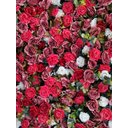 Ver imagem 3 de Jardim Vertical Verde Artificiais Decoração Festa Sala