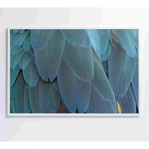 Quadro Penas Azuis 90x60 Cm Vidro Impresso