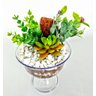Arranjo Taça + Suculentas Artificiais Terrário - 2