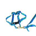 Ver imagem 6 de Conjunto Peitoral e Guia Ajustável RBPet - Cães e Animais de Micro Porte