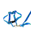 Ver imagem 2 de Conjunto Peitoral e Guia Ajustável RBPet - Cães e Animais de Micro Porte