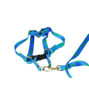 Ver imagem 3 de Conjunto Peitoral e Guia Ajustável RBPet - Cães e Animais de Micro Porte