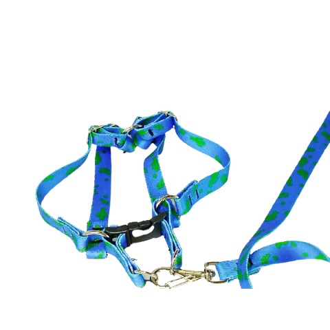 Conjunto Peitoral e Guia Ajustável RBPet - Cães e Animais de Micro Porte