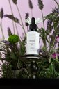 Ver imagem 1 de Essência Concentrada Lavanda Francesa 30ml