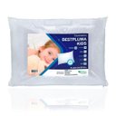 Ver imagem 1 de Travesseiro Bestpluma 30X40 Theva