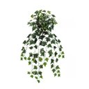 Ver imagem 2 de Folhagem Hera Grande Pendente 618 Folhas