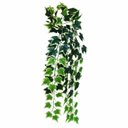 Ver imagem 1 de Folhagem Hera Grande Pendente 618 Folhas