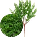 Ver imagem 1 de 8 Ramos Salsinha Artificial Flor Plantas com 13 Galhos 46cm