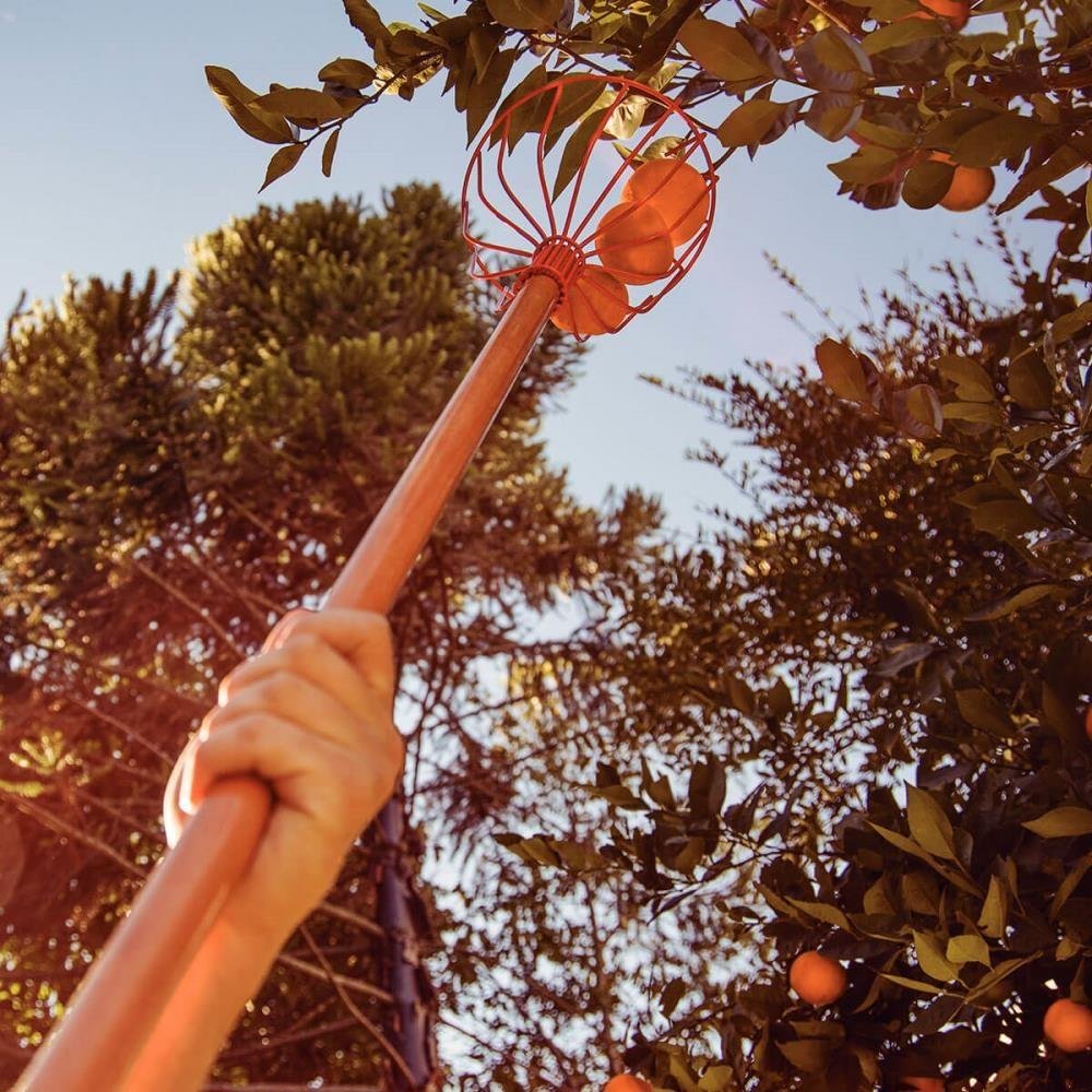 Colhedor de Frutas Grande Tramontina em Aço sem Cabo Olho de 26,5mm de Diâmetro 77819201 - 4