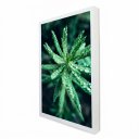 Ver imagem 1 de Quadro Decorativo com Relevo em Moldura Caixa Alta Folhagem Verde
