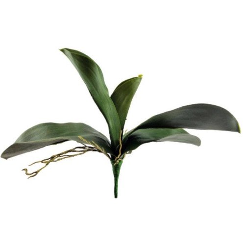 Folha Orquidea Phalaenopsis Planta Artificial Permanente 34cm |  MadeiraMadeira