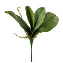 Ver imagem 1 de Folha Orquidea Phalaenopsis Planta Artificial 27cm Perm P