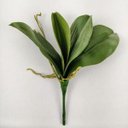 Ver imagem 2 de Folha Orquidea Phalaenopsis Planta Artificial 27cm Perm P