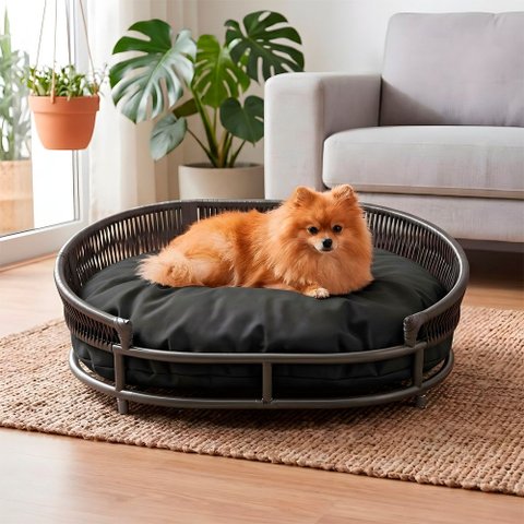 Cama Caminha Pet Sofá 75cm Futon Oval Acquablock