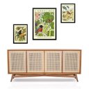Ver imagem 1 de Set 3 Quadros Pássaros Flores e Frutas - com Vidro: Moldura Branca