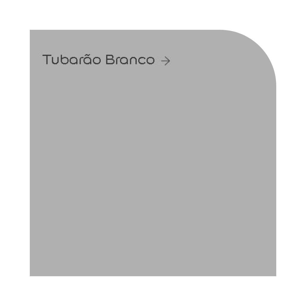 Tinta Coral Rende Muito Cor Tubarão Branco 16L | MadeiraMadeira