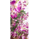 Ver imagem 3 de Planta Artificial Árvore Chuva Lilás 1,60 Metros de Altura