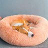 Cama Nuvem 60cm Donut Cachorro Gato Pet Animais Confortavel Caminha Rosquinha Pelucia - 1