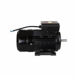 Motor Elétrico de 3cv 127/220v 60hz 3472 Rpm Bivolt com 2 Pólos e Proteção Ip55 Yl90l-2 Lynus - 4