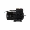 Motor Elétrico de 3cv 127/220v 60hz 3472 Rpm Bivolt com 2 Pólos e Proteção Ip55 Yl90l-2 Lynus - 4
