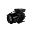 Ver imagem 3 de Motor Elétrico de 3cv 127/220v 60hz 3472 Rpm Bivolt com 2 Pólos e Proteção Ip55 Yl90l-2 Lynus