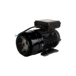 Motor Elétrico de 3cv 127/220v 60hz 3472 Rpm Bivolt com 2 Pólos e Proteção Ip55 Yl90l-2 Lynus - 3