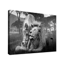 Ver imagem 1 de Quadro Família Fabulosa -- BR ARTES