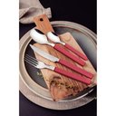 Ver imagem 2 de Faqueiro Bliss com Lâminas em Aço Inox e Cabos de Polipropileno Viva Magenta 16 Peças