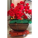 Ver mais imagens de Suporte para Vaso de Planta Redondo com Rodinhas Gel Silicone 25cm
