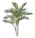 Ver imagem 1 de Árvore Artificial Palmeira Areca Real Toque Verde 90cm