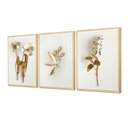 Ver imagem 1 de Trio de Quadros Decorativos Flores Brancas com Moldura Sala